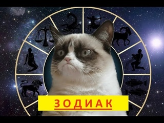 ЗОДИАК
