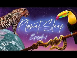 Amazon Rainforest Relaxing Sleep Story, Meditation, Soothing Music & Nature Sounds - Planet Sleep #1