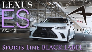 ARTISAN SPIRITS BLACK LABELLEXUS ES 300h/350_BODY KIT