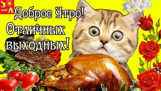 Доброе утро! Отличных выходных! Прикольное видео! Весёлая видео открытка для друзей!