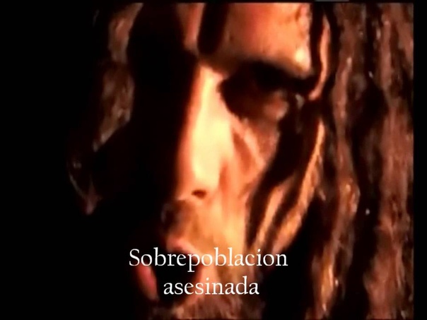 Six Feet Under The Day The Dead Walked ( Subtitulada),
