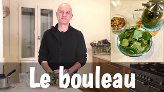 Le bouleau (Betula pendula), feuilles, corce, sve : douleurs articulaires, problmes de peau...