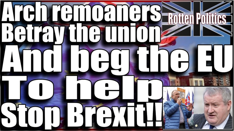 Remoaning MPs beg the EU to help stop