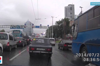 Чудовищная жестокость. Вышвырнули кошку из машины