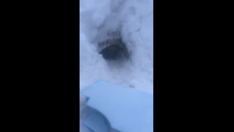 Видео от Studio