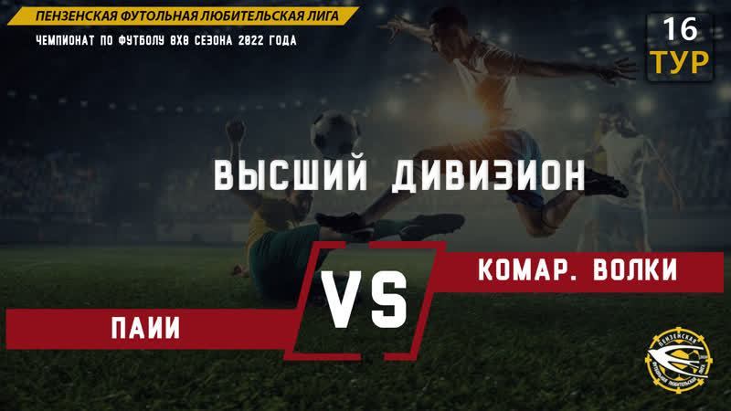 ПАИИ Комаровские Волки 2