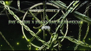 TO THE GRAVE - DxE Or Die & Vegan Day Of Violence (Lyric Video)