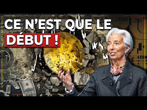 Re cession : Tempe te Plane taire sur le Marche des Cryptos, Le 2008 des Cryptos et Bain de