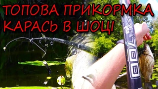 Карась на боковий ківок крупним планом