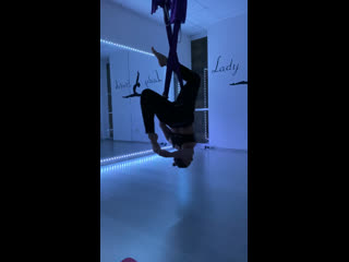 Fly