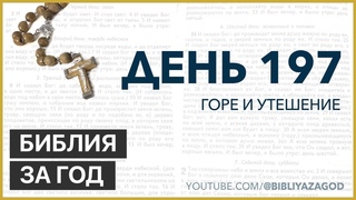 День 197: Горе и утешение  Библия за год с о.Майком Шмитцем