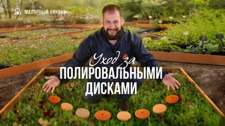 Как правильно обслуживать полировальные диски | Подготовка и очистка #полировка #polishing #авто