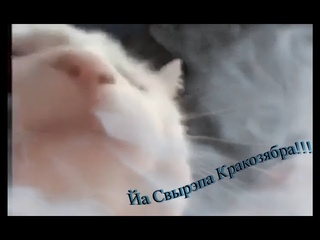 Дядя Ворраг - Йа свырэпа Кракозябра