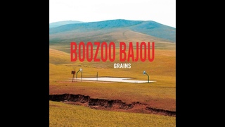 Boozoo Bajou - Flickers