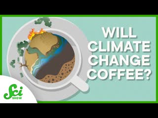 Is Coffee Disappearing... or Will It Just Taste Different