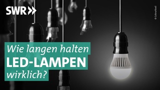Das Geschft mit LED-Lampen I Marktcheck deckt auf SWR