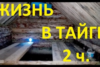 Жизнь в тайге в палатке/ Быт при строительстве избушки/ 2 часть