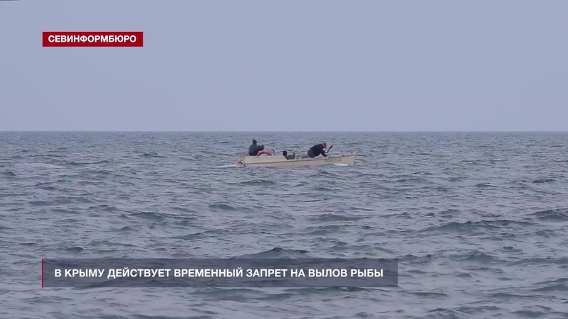 Можно ли ловить в крыму в запрет. Запрет на вылов рыбы. Можно ли ловить в крыму в запрет. Вылов рыбы. Промышленное рыболовство.