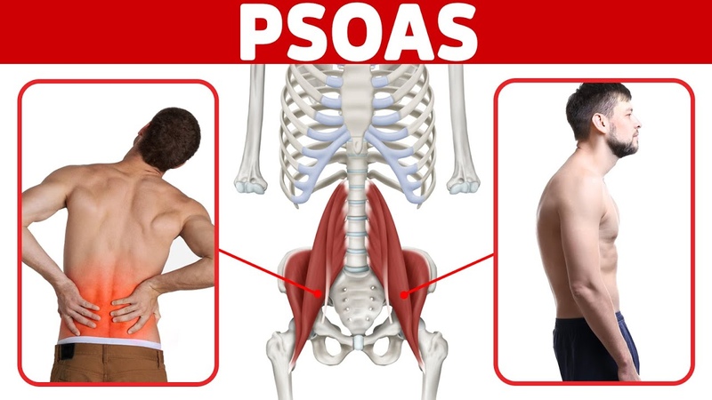 The BEST Way to Release a Tight Psoas Muscle for Low Back Pain and Poor