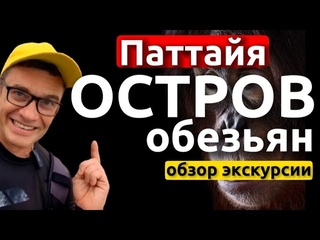 Экскурсия на катамаране Серенити в Паттайе - обзор и отзывы. Где купить экскурсии в Паттайе.