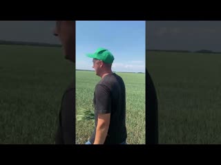 Репортаж с полей Бефуса Сергея Альфредовича. Щербакульский р-н.