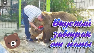 Как папа Мансуру завтрак принес🍒🍅