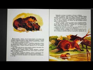 ДЕТЛИТ 201 Акимушкин И. И. Жил-был бобр (М.: Издательство Малыш, 1987)