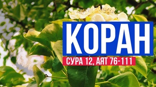 Коран. Сура 12. Аят 76-111  Мусульманские цитаты со смыслом