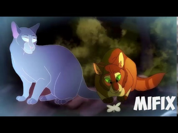 Клип Cat Warriors A Demons