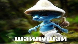 Шайлушай