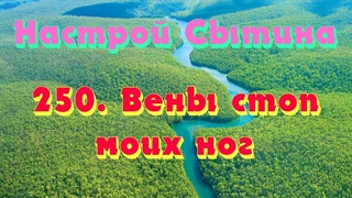 “Вены стоп моих ног“ настрой Сытина