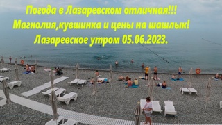 Погода в Лазаревском отличная! . Магнолия,цены на шашлык и кувшинкаЛАЗАРЕВСКОЕ СЕГОДНЯСОЧИ