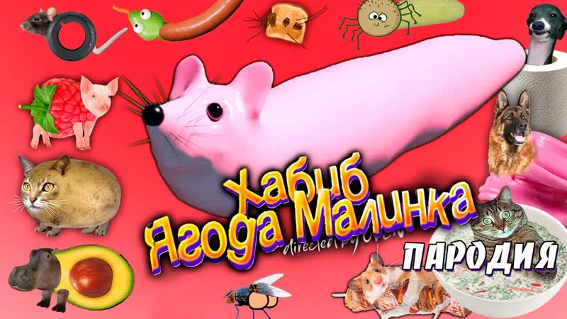 НОВАЯ ПЕСНЯ про МЫШКУ СОСИСКУ И ЕЁ ДРУЗЕЙ, , ХАБИБ ЯГОДА