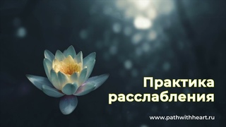 Практика осознанного расслабления