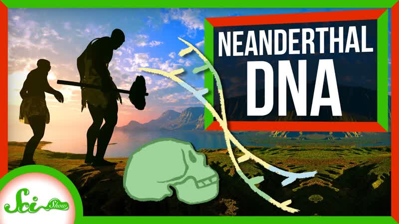 How Neanderthals Ended Up With Human