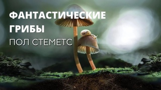Фильм  Фантастические Грибы, Пол Стеметс