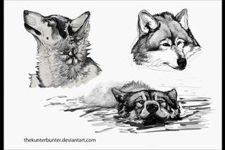 speed painting - wolves