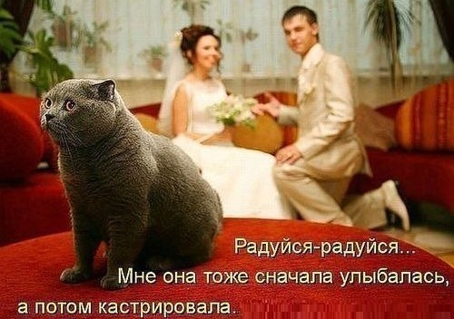 Яна Каира | Днепр (Днепропетровск)