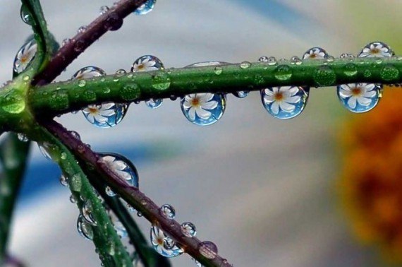 Володя Бойченко | Орск