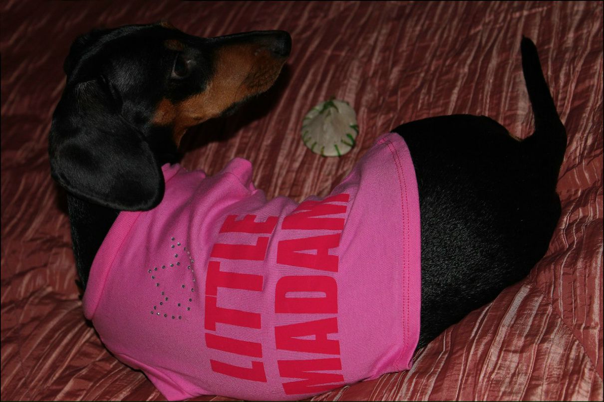 Юлия Соляник | Киев