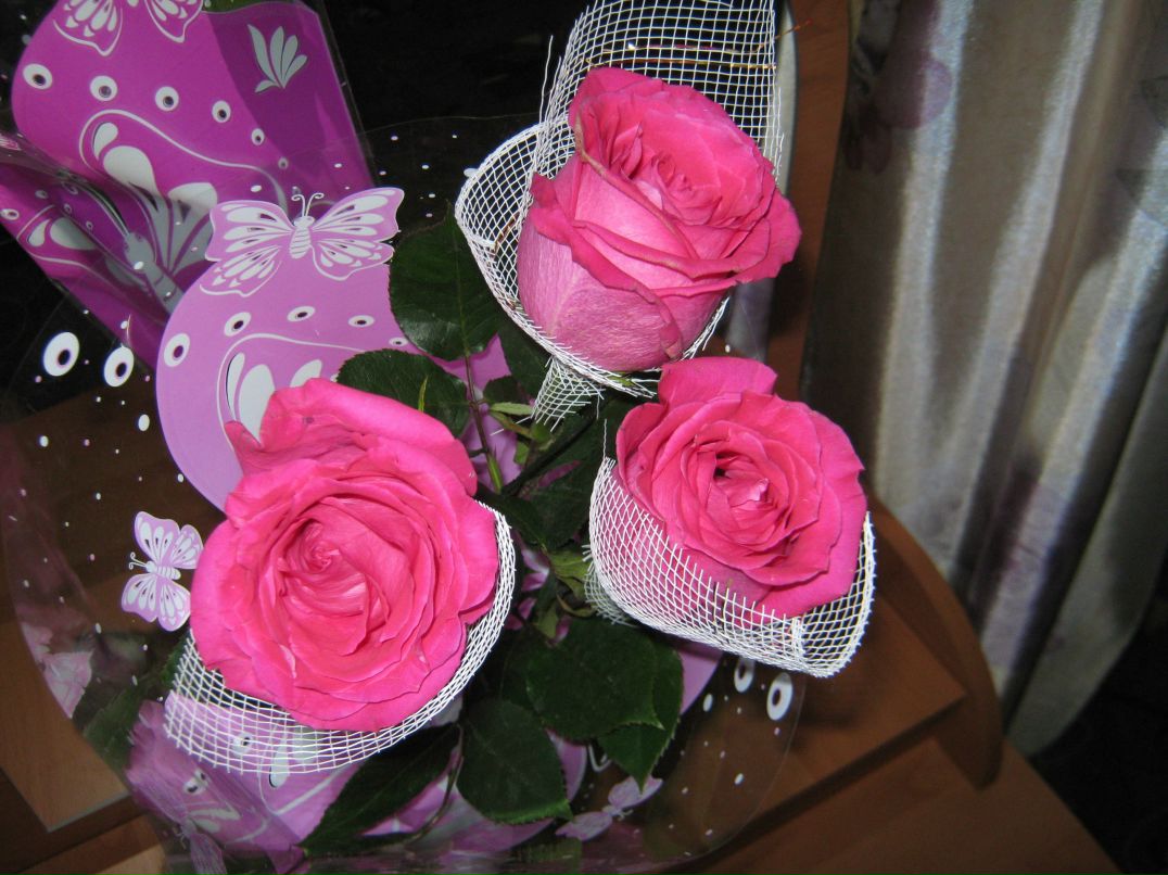 Ирина Захарова | Питкяранта