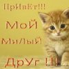 Аватар: Юлия Петрова