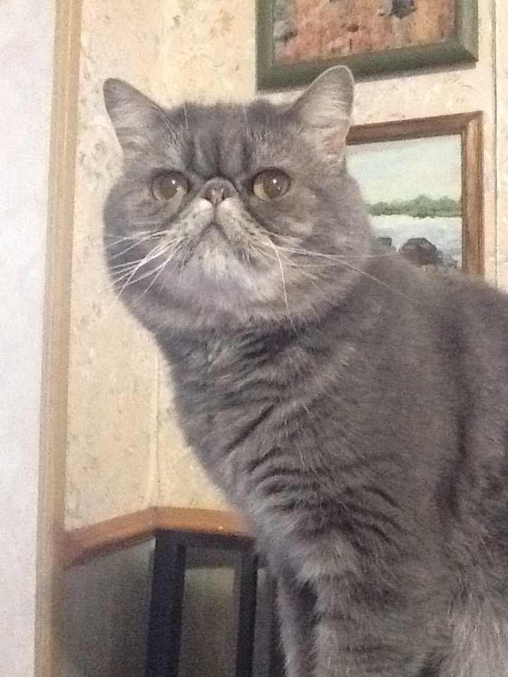 Катюша Букарина | Санкт-Петербург