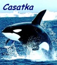 Фотография Slava Casatka