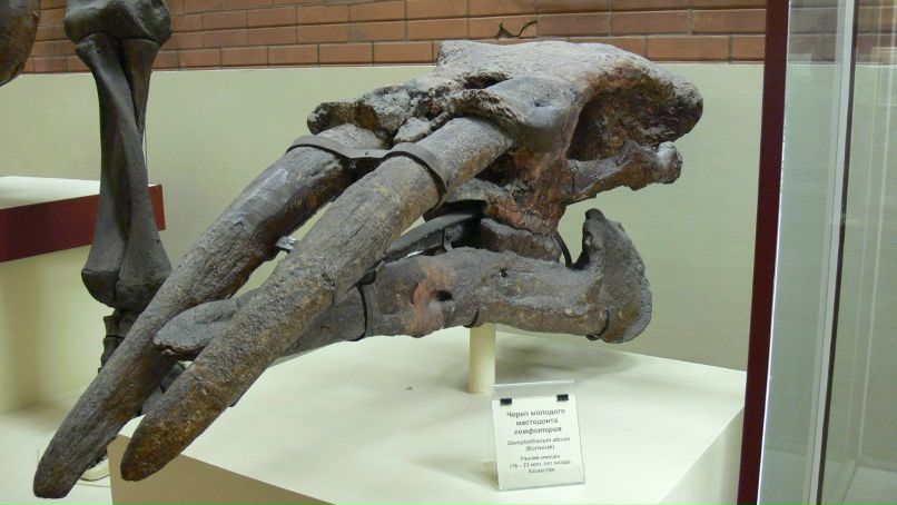 Серёга Dybov | Москва