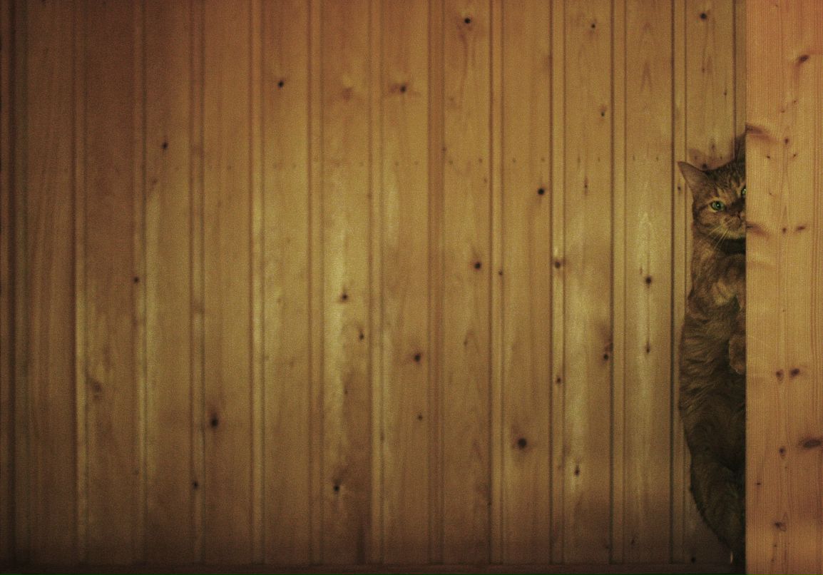 Nadja Travina | Espoo