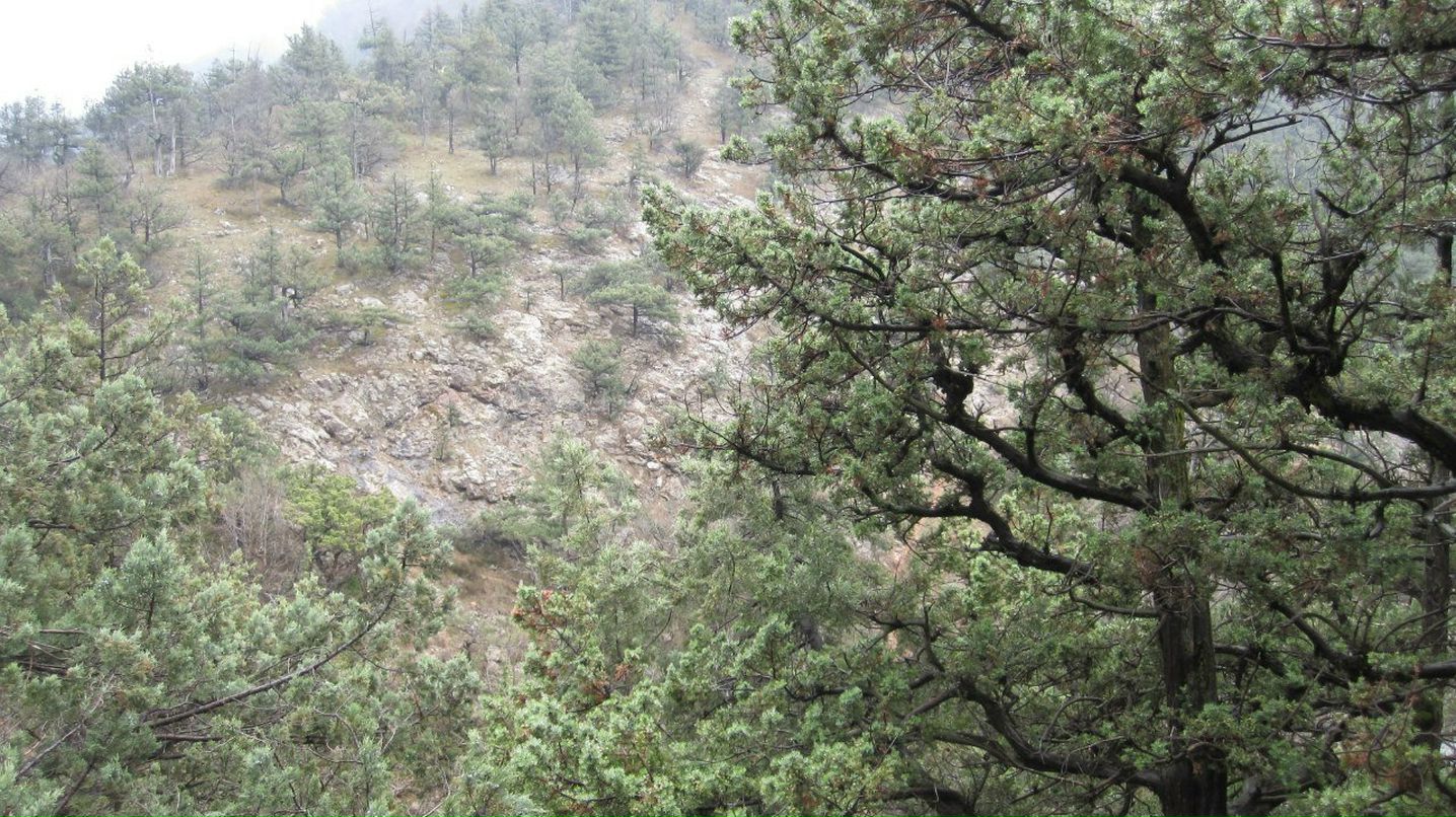 Татьяна Пономарева | Москва