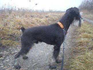 Светлана Шаповалова uhhi | Рига