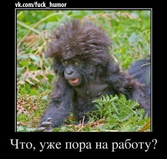 Данила Питер from | Санкт-Петербург