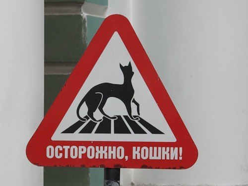 №144, Оксана Хоробрых, Санкт-Петербург №144, Оксана Хоробрых, Санкт-Петербург